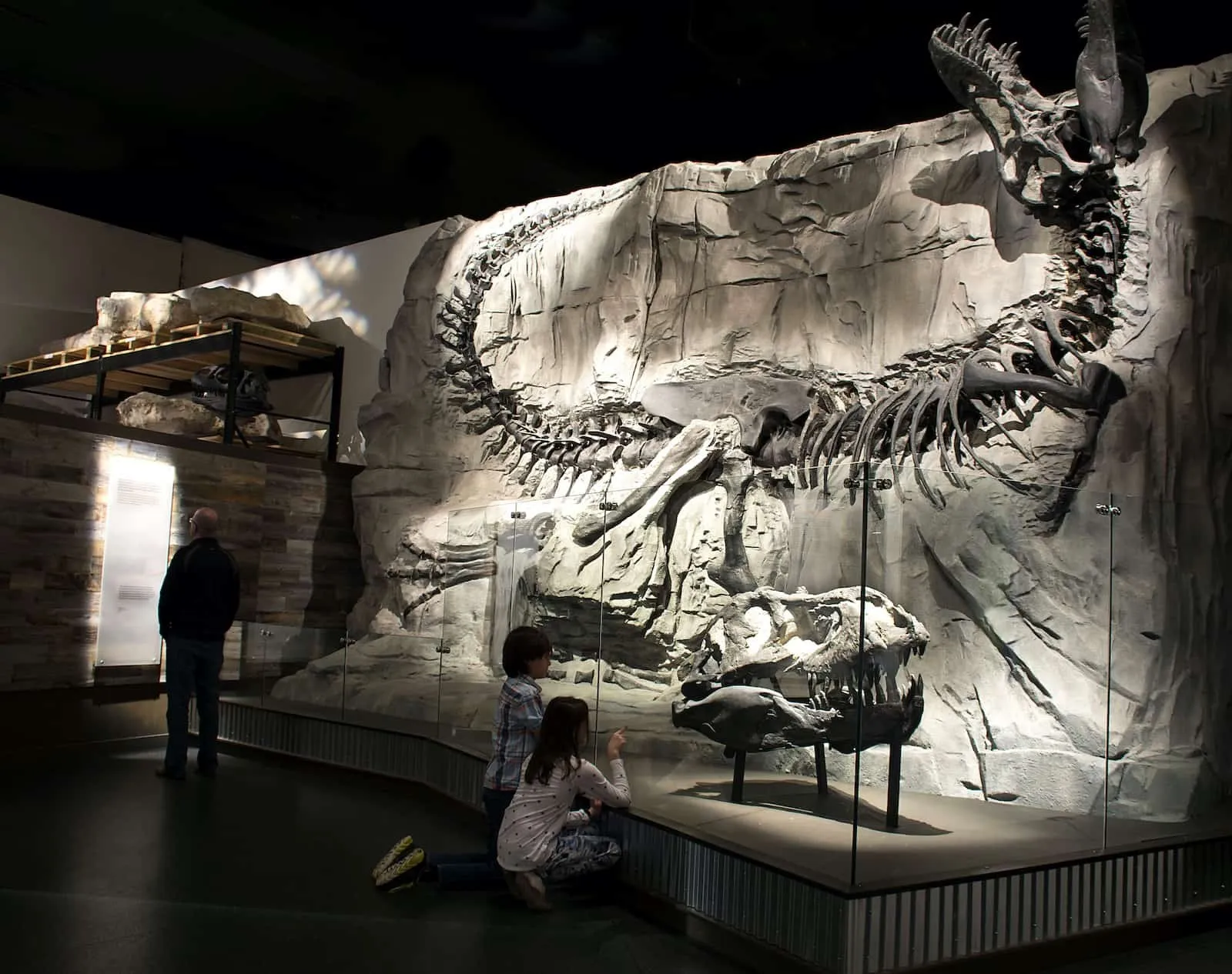 Your experience at Calgary to Drumheller Tour