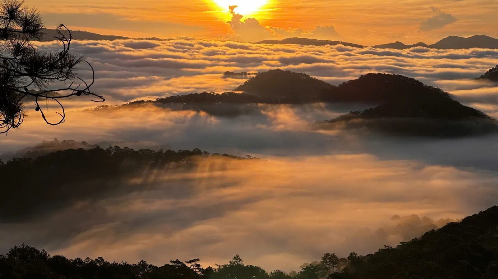 Da Lat Cloud Hunting Tour