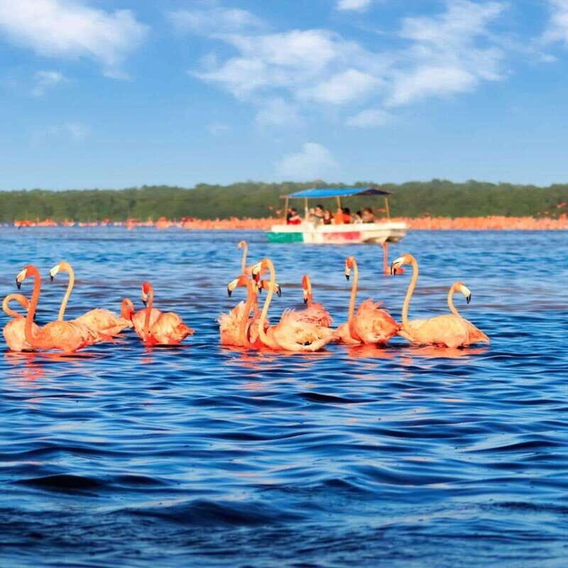 Celestun Tour From Merida