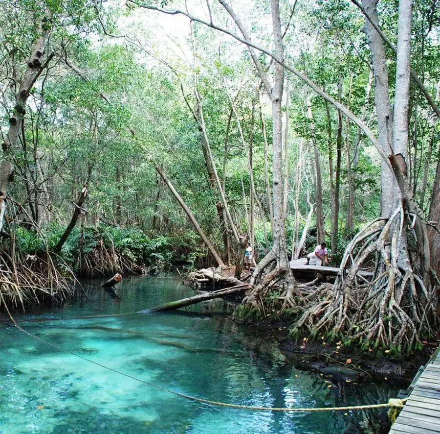 Your experience at Celestun Tour From Merida