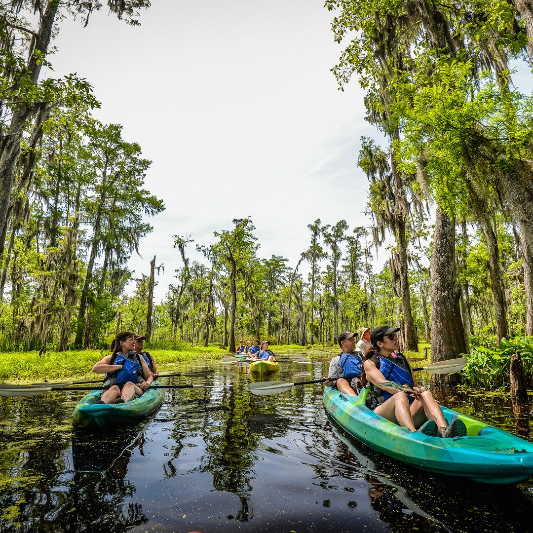 Manchac Swamp Kayak Tour