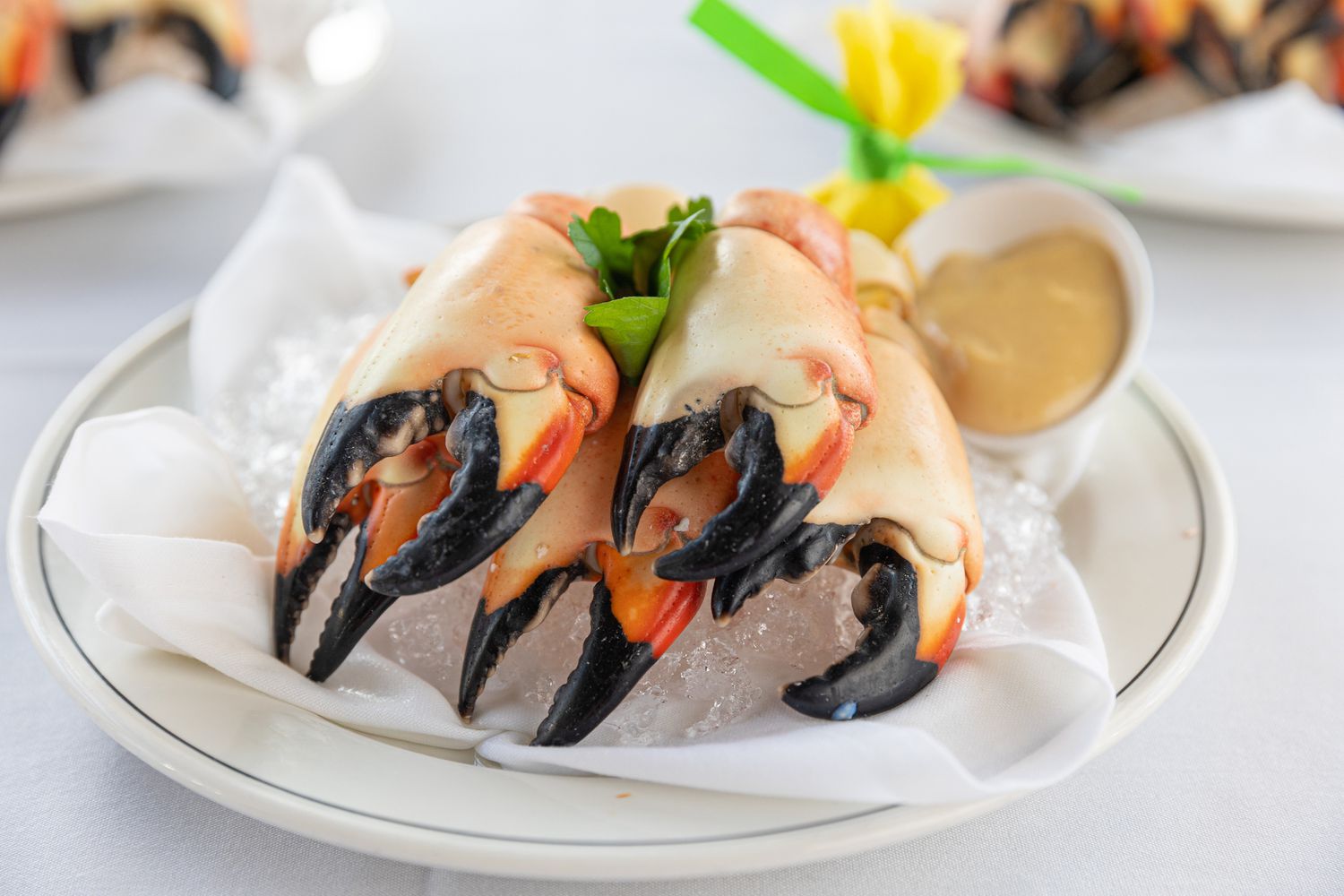 Your experience at South Beach Food Tour