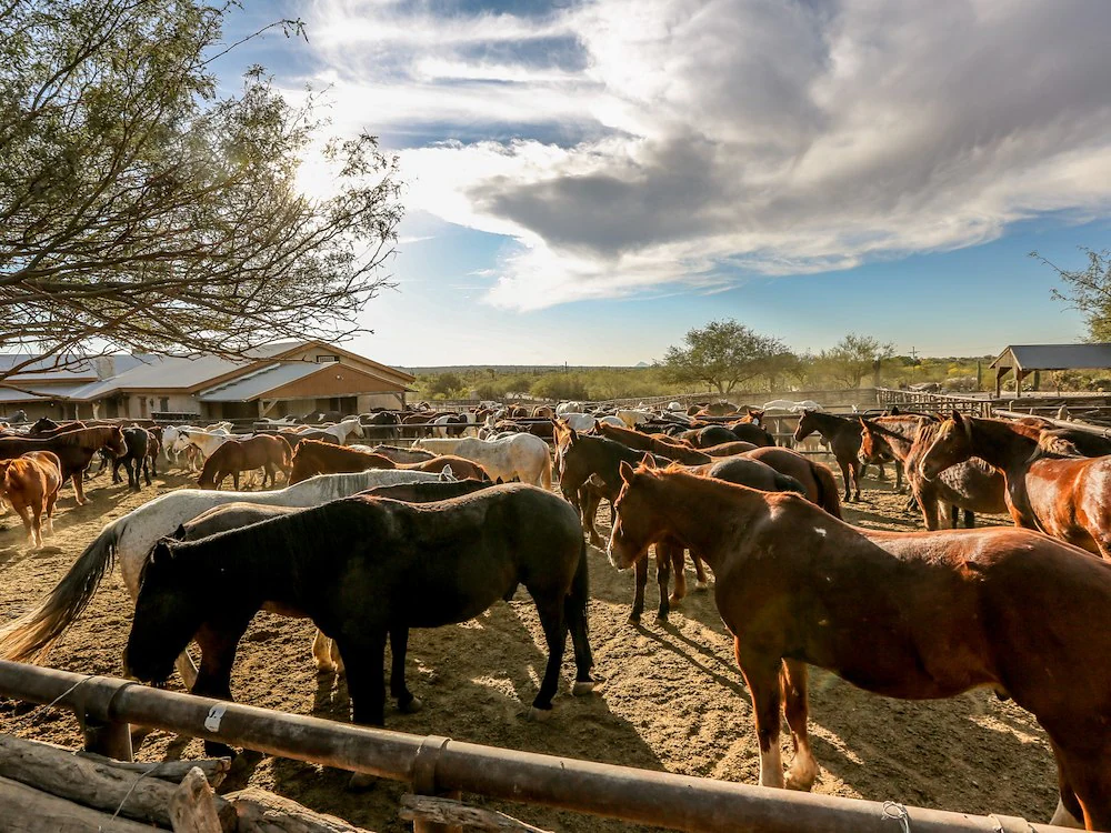 Historical Ranch Site