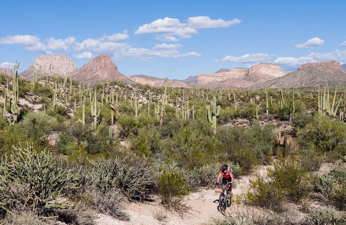 Guided Ride