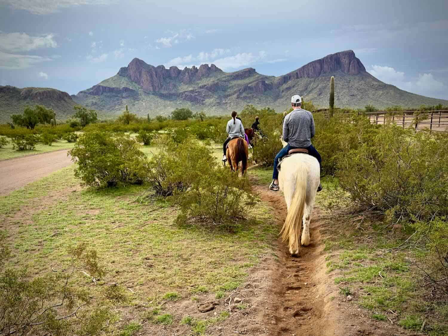 Your experience at Tucson Horseback Riding