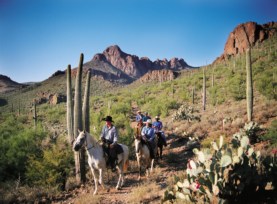 Tucson Horseback Riding in the Sonoran Desert