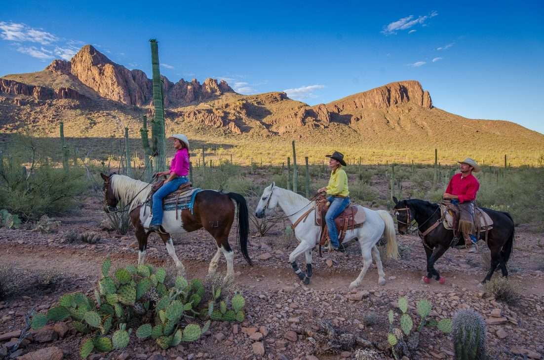 Tucson Horseback Riding
