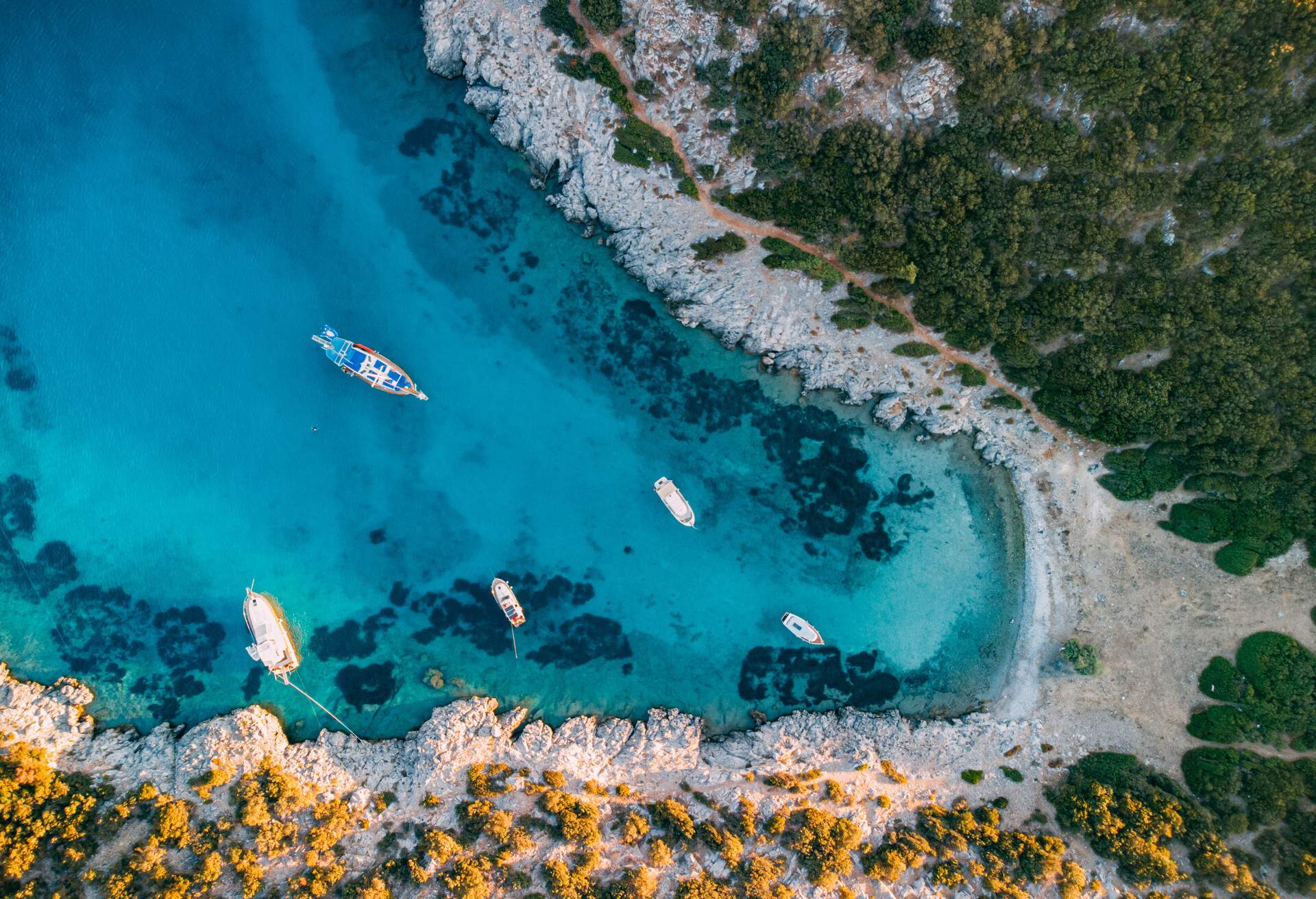 Aquarium Bay