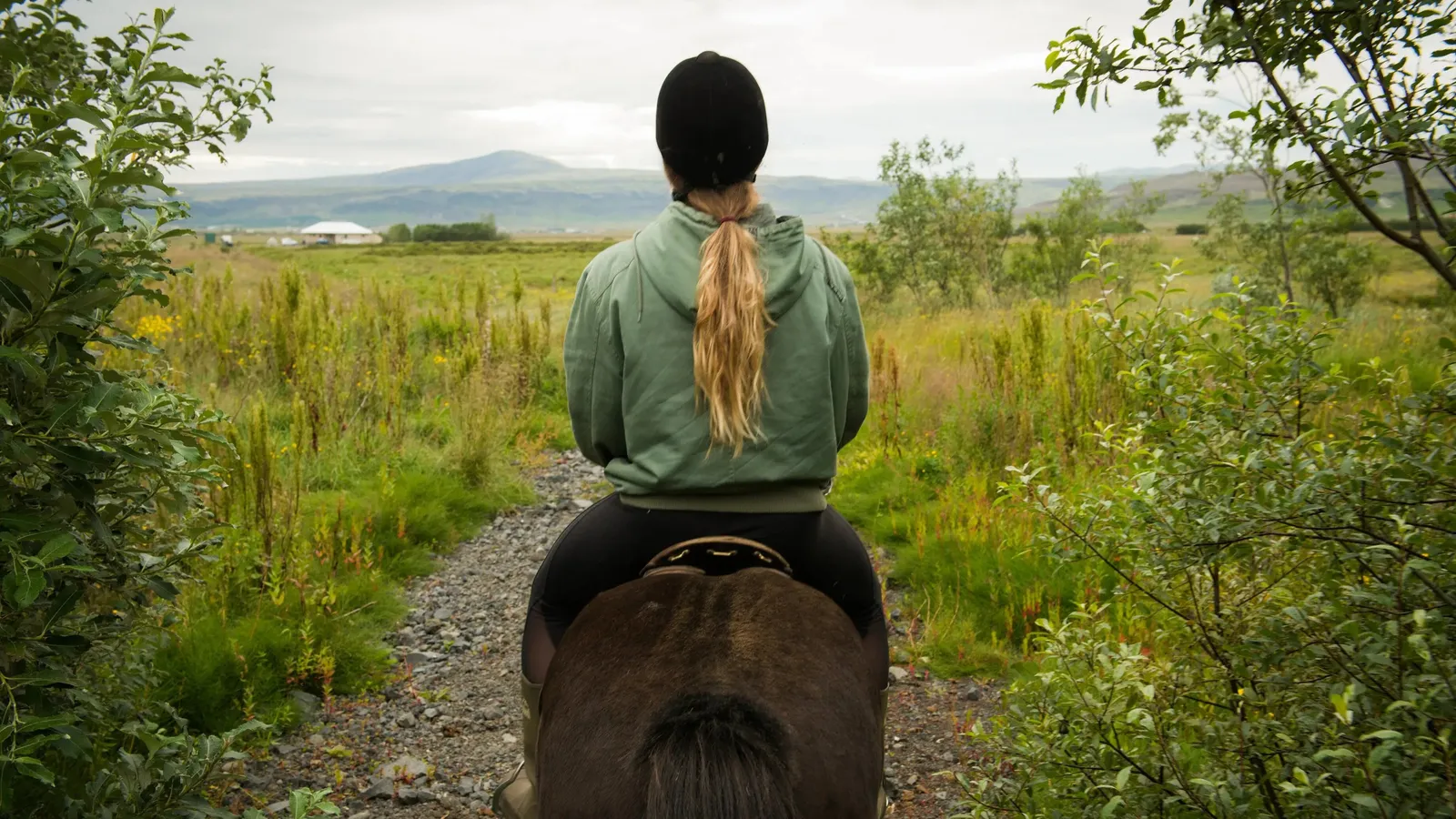 Guide to the reykjadalur horse riding tour