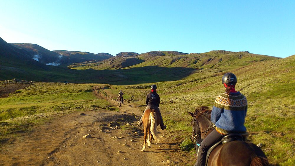 Reykjadalur Horse Riding Tour