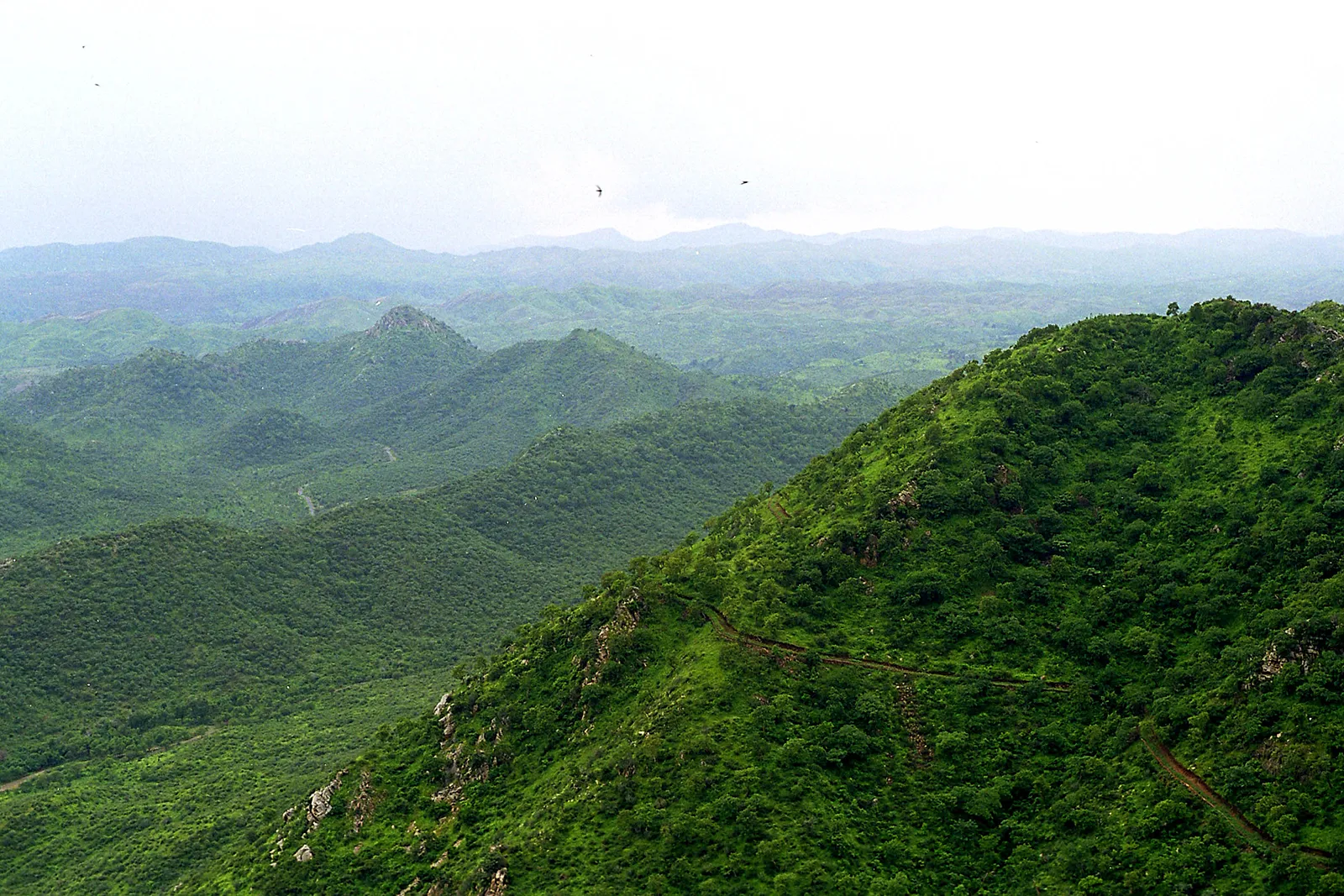 Aravalli Overlook