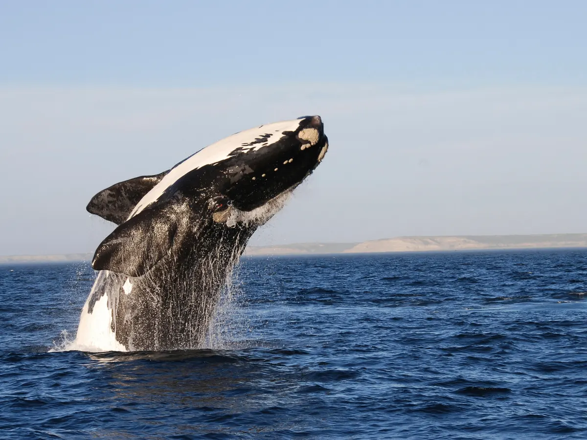 Marine Eco-Zone