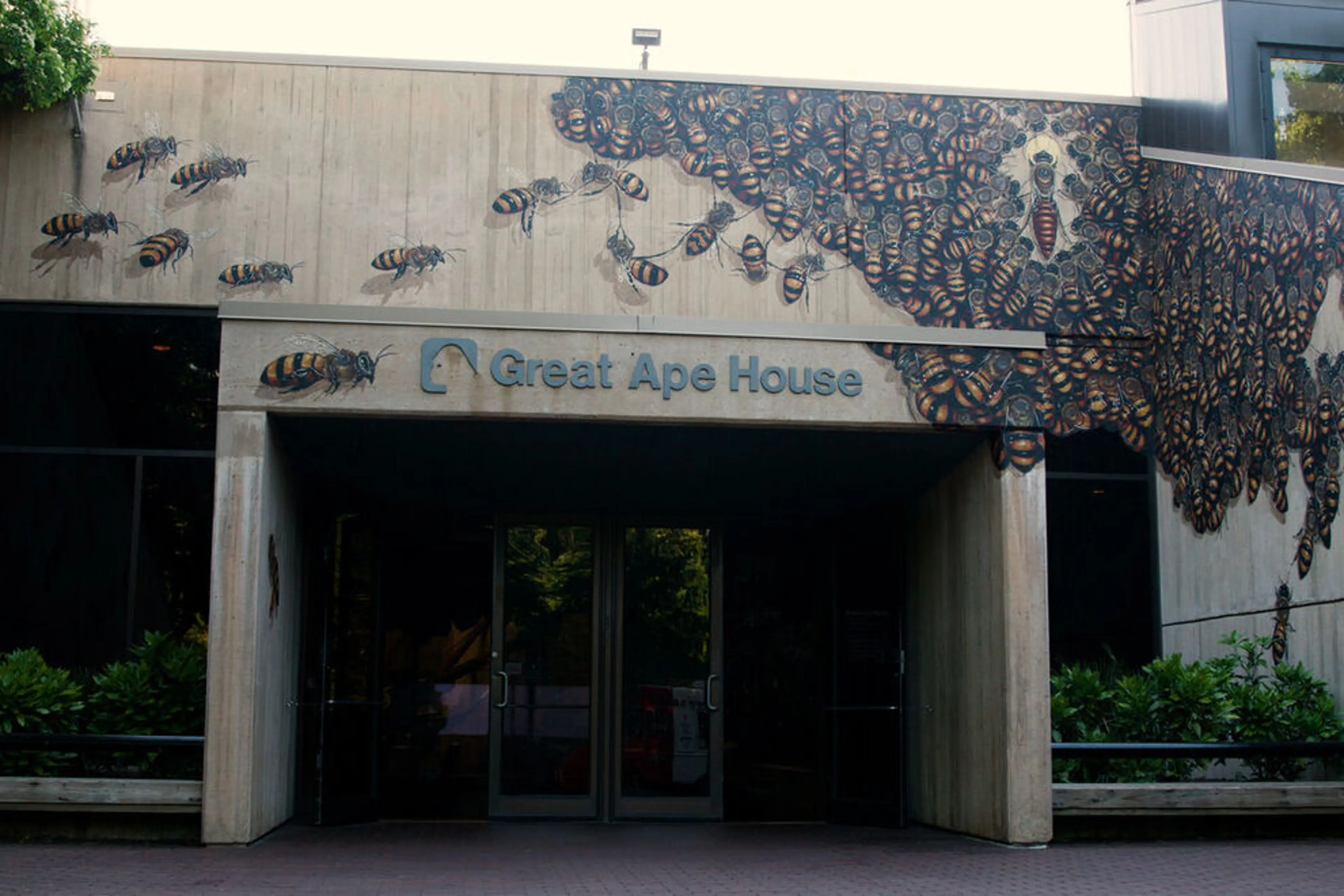 Ape House