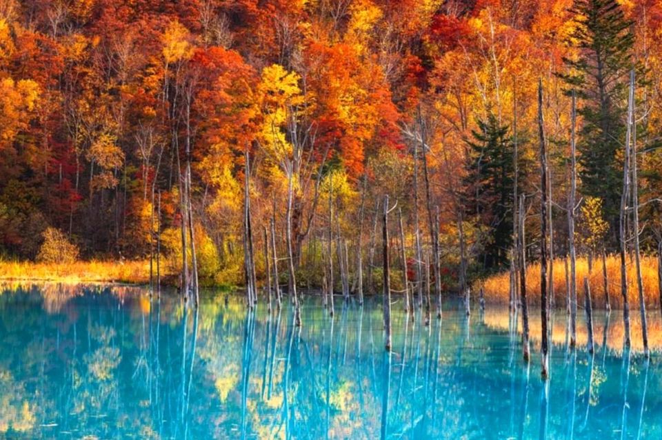 Biei Blue Pond Tour