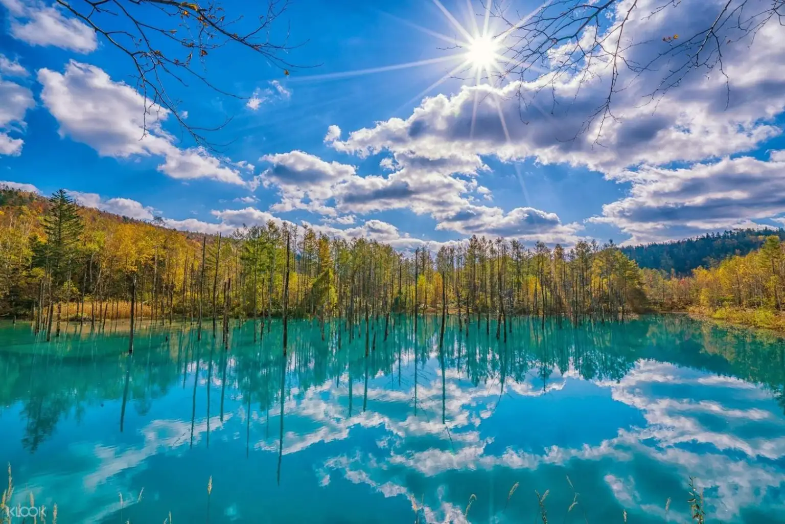 Your experience at Biei Blue Pond Tour