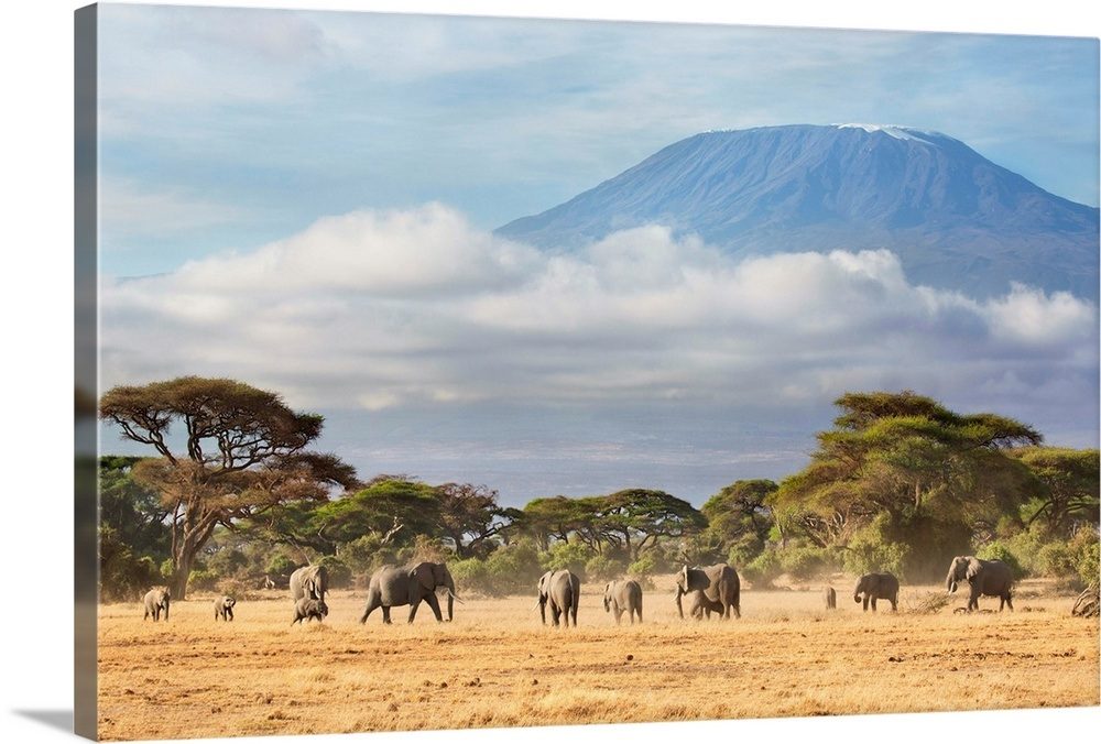 Amboseli Day Trip from Nairobi Overview