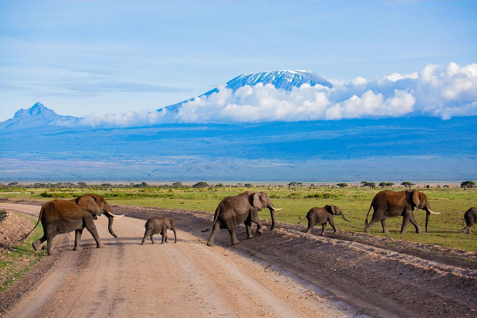 Amboseli Day Trip From Nairobi