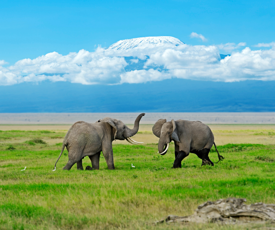 Lake Amboseli