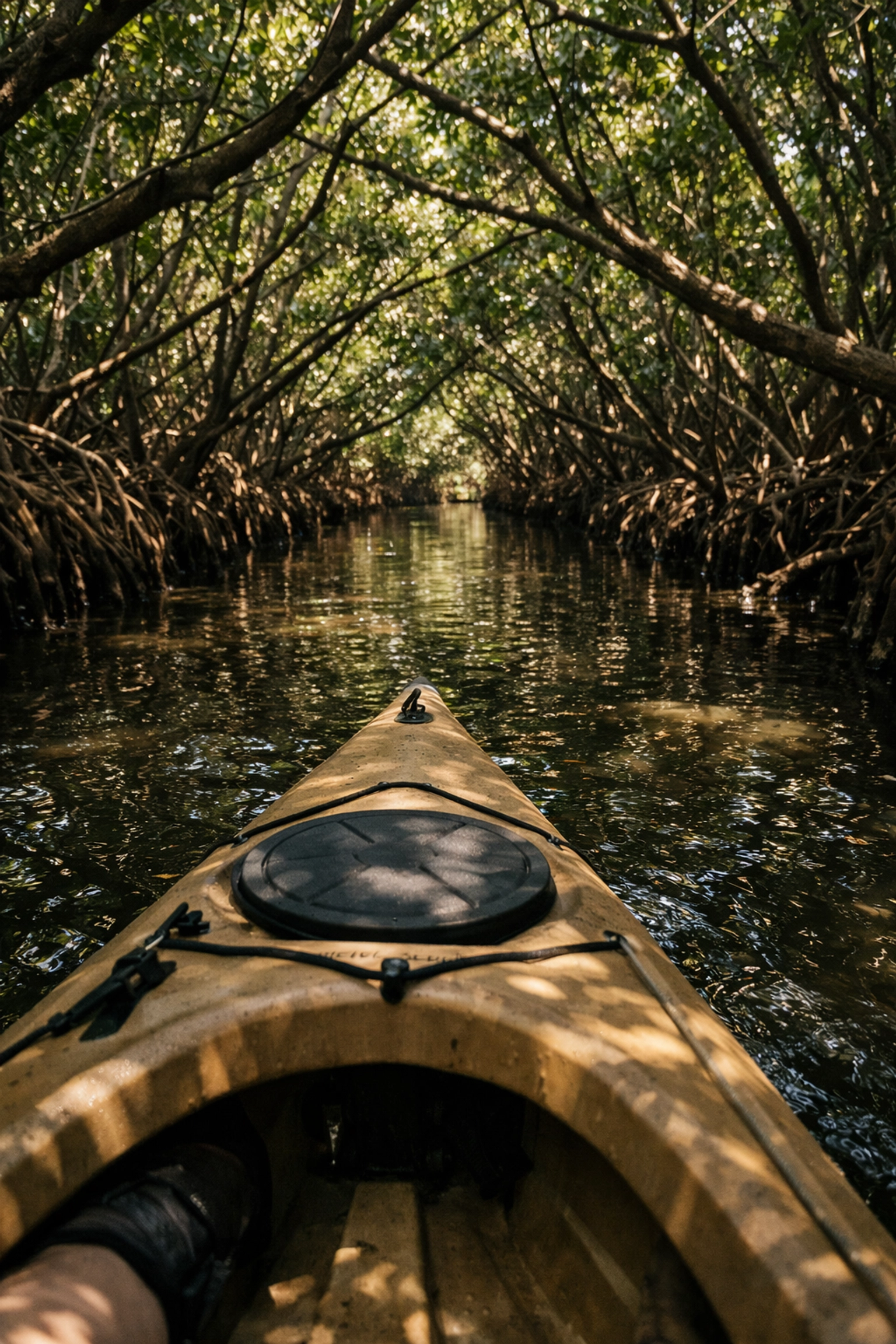 Oleta River State Park to Raccoon Island