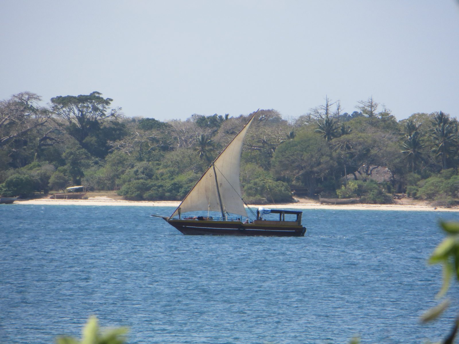 Wasini Island Tour Price