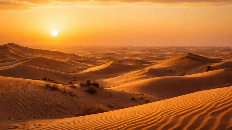 Best Sunrise Desert Safari Dubai