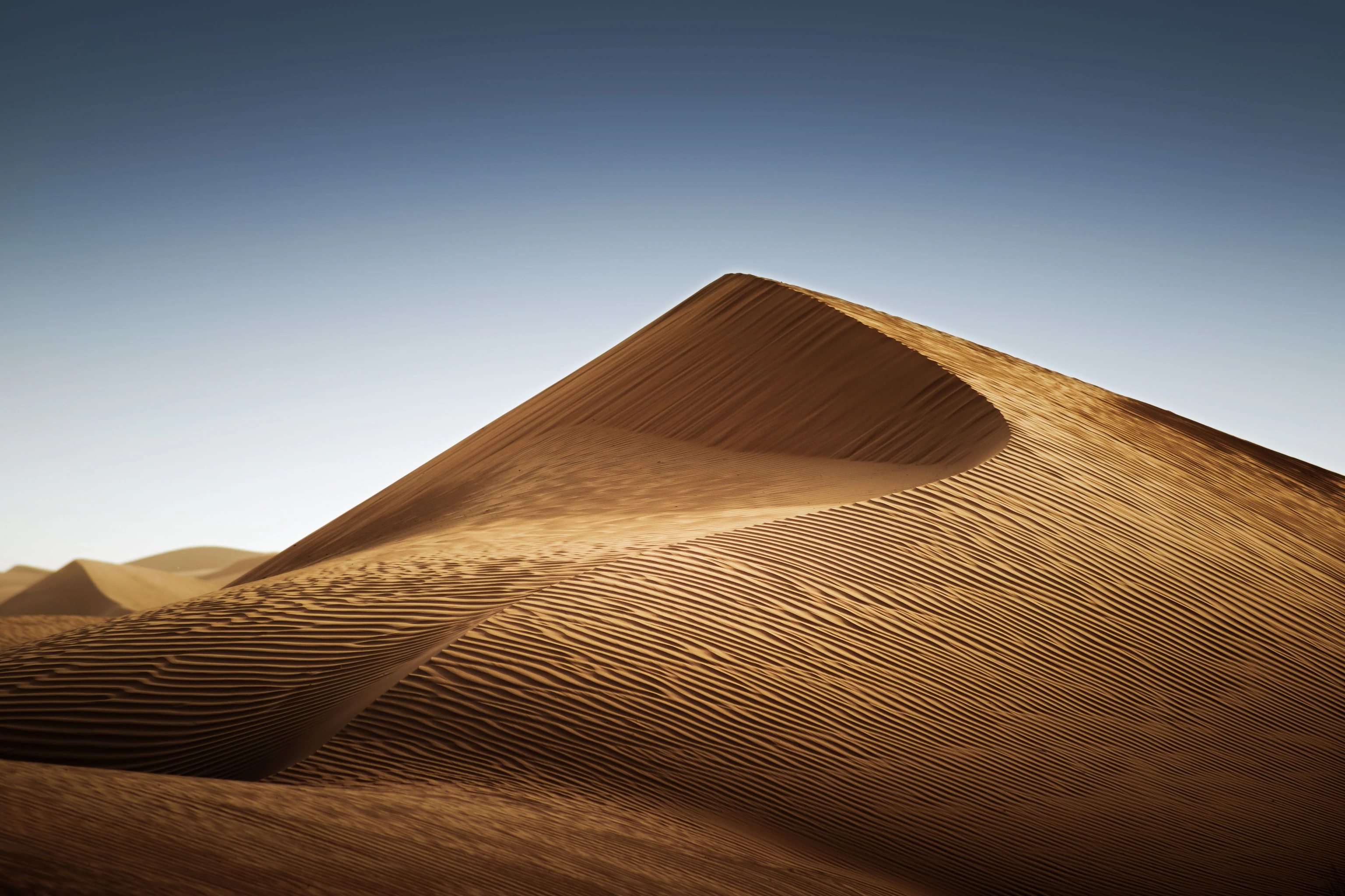 High Dune Crests