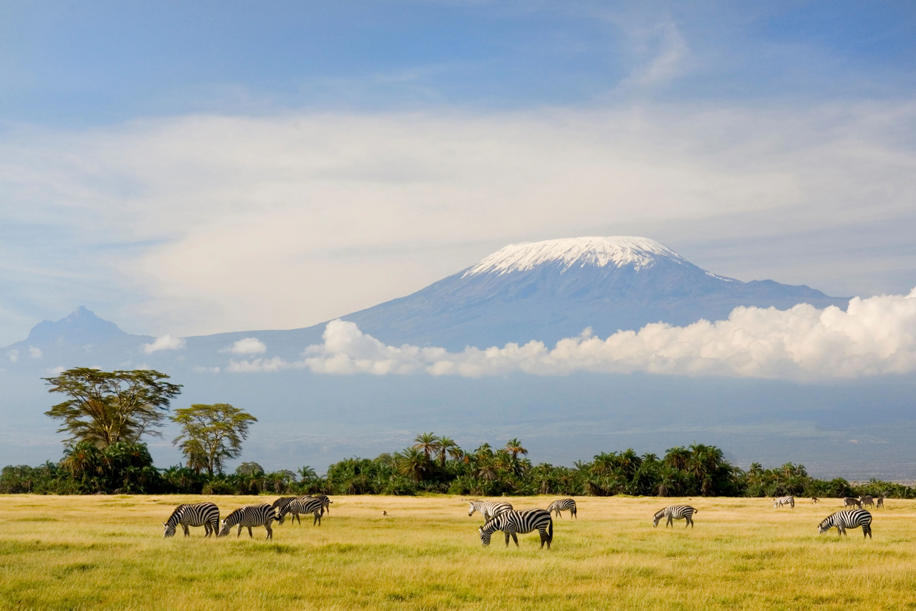 Kilimanjaro National Park