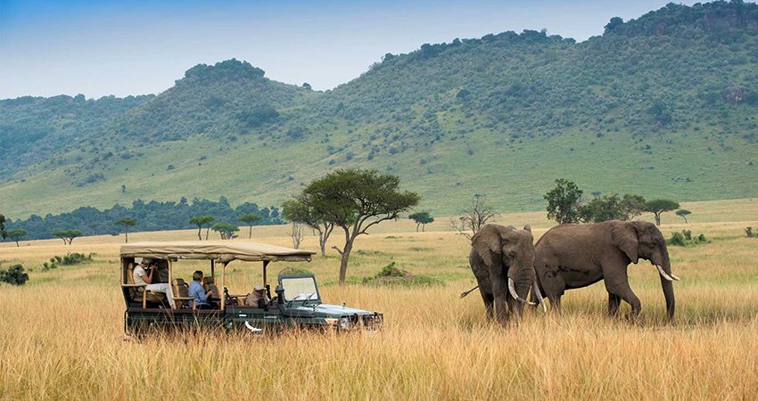 3-Day Masai Mara Safaris from Nairobi