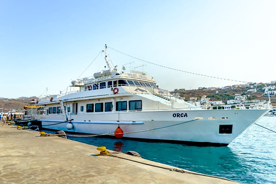 Mykonos to Delos Ferry Schedule