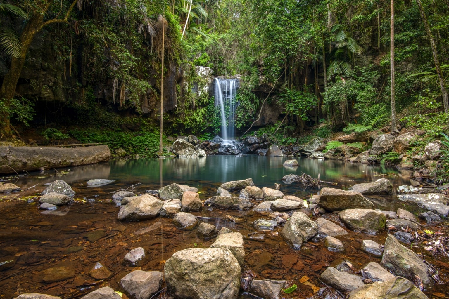 Curtis Falls