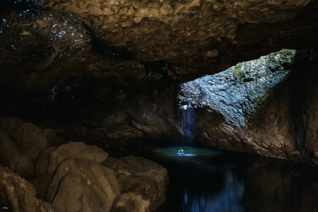 Glow Worm Caves Near Brisbane