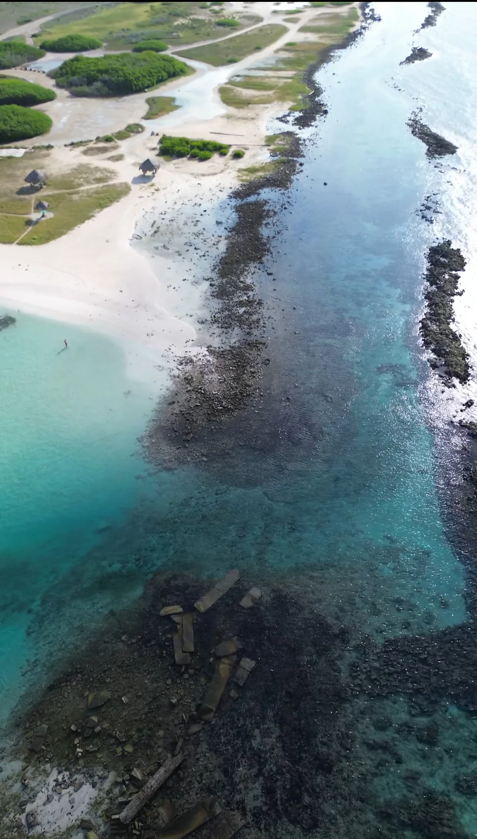 The Reef Edge