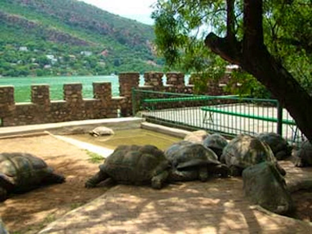 Hartbeespoort Dam Snake and Animal Park