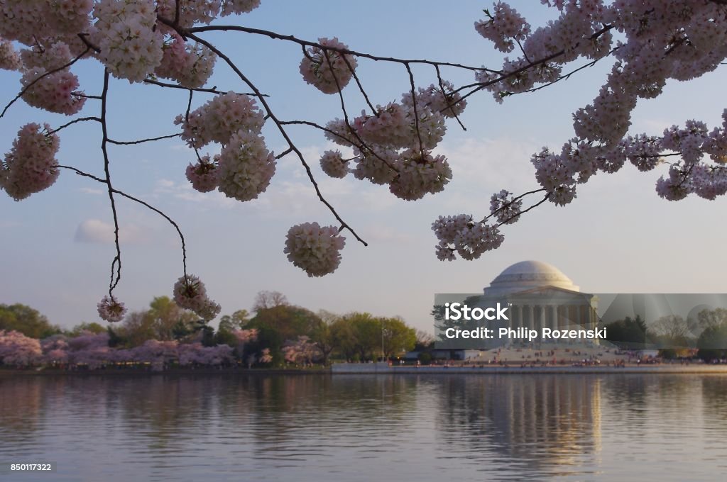 Thomas Jefferson Memorial