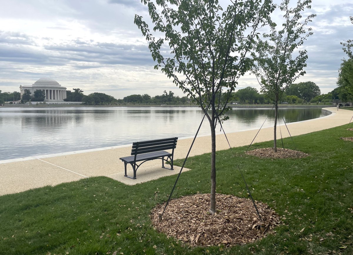 Tidal Basin Uferweg