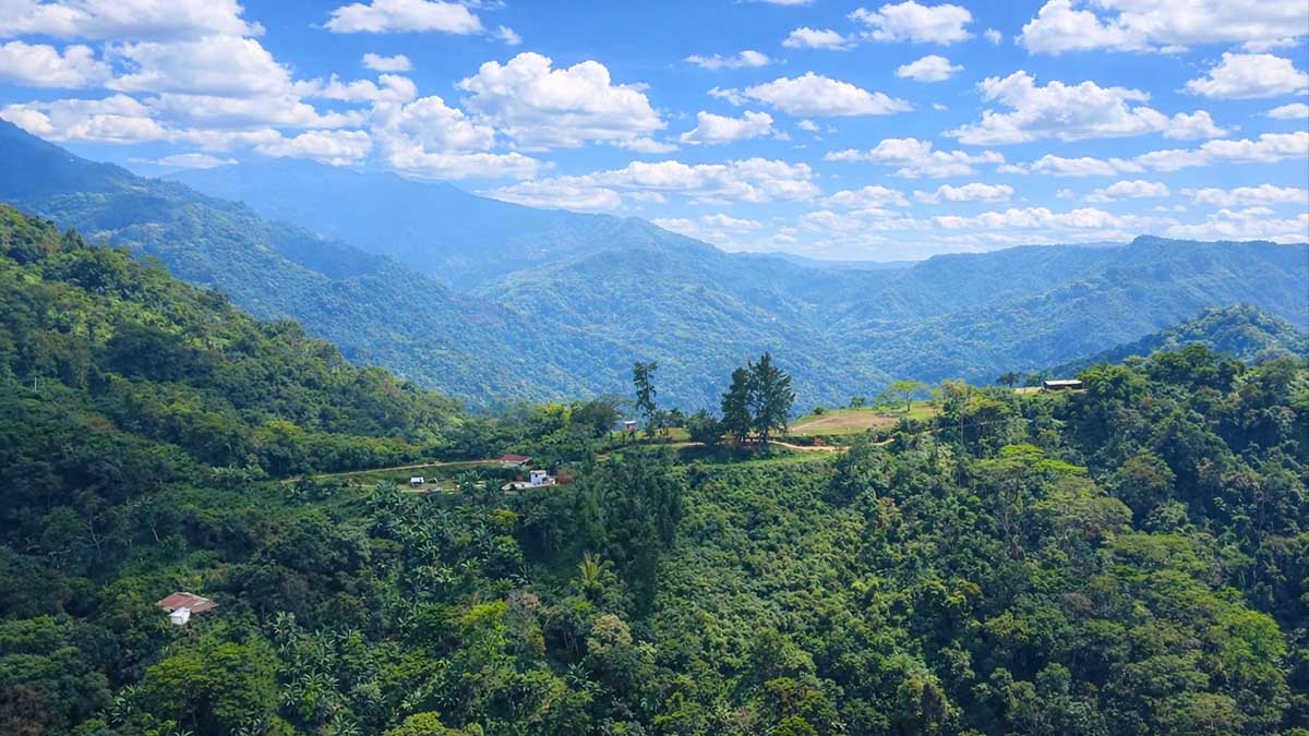 How to Get to Minca From Santa Marta
