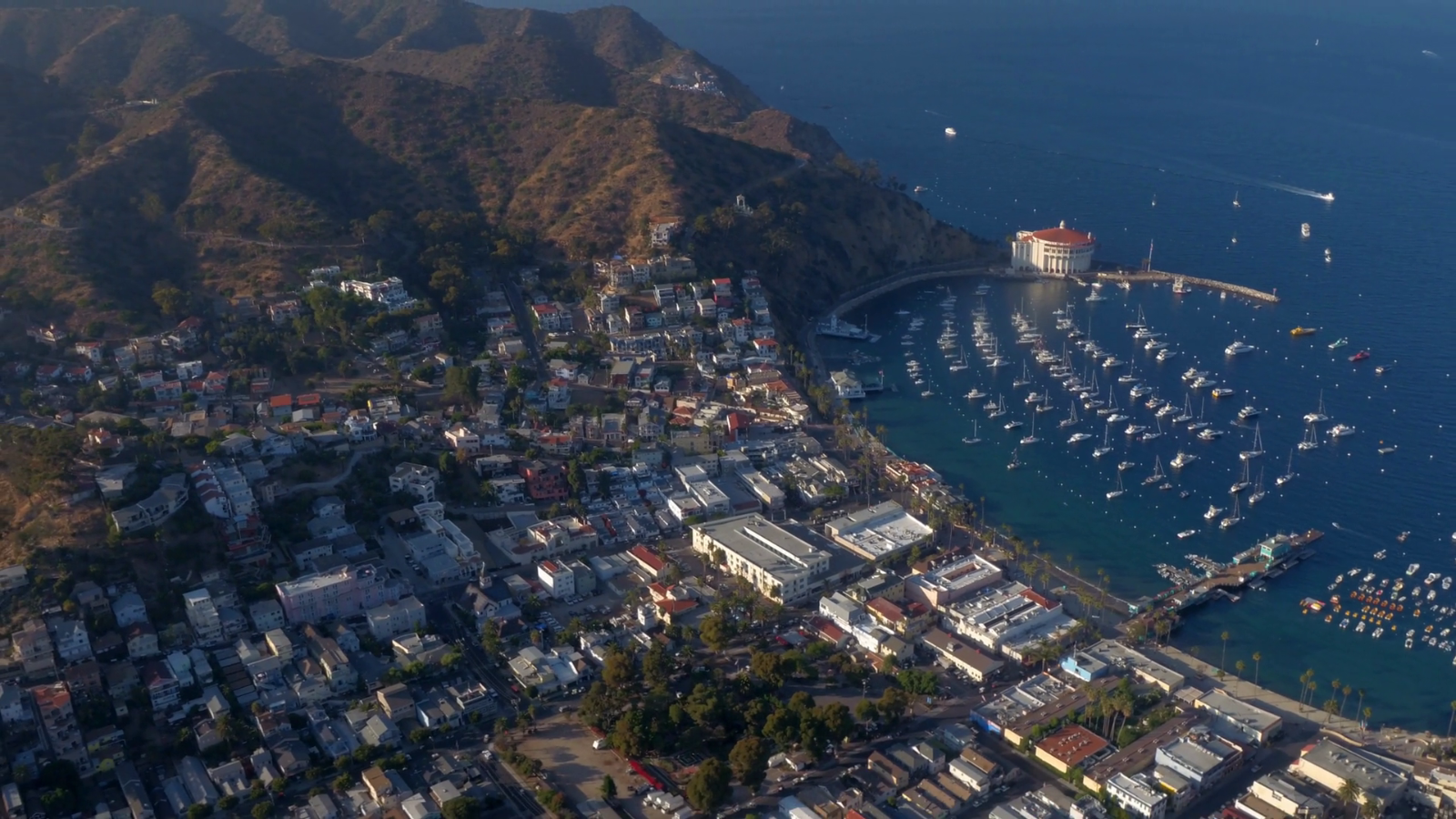 What Can You Do on a Day Trip to Catalina Island