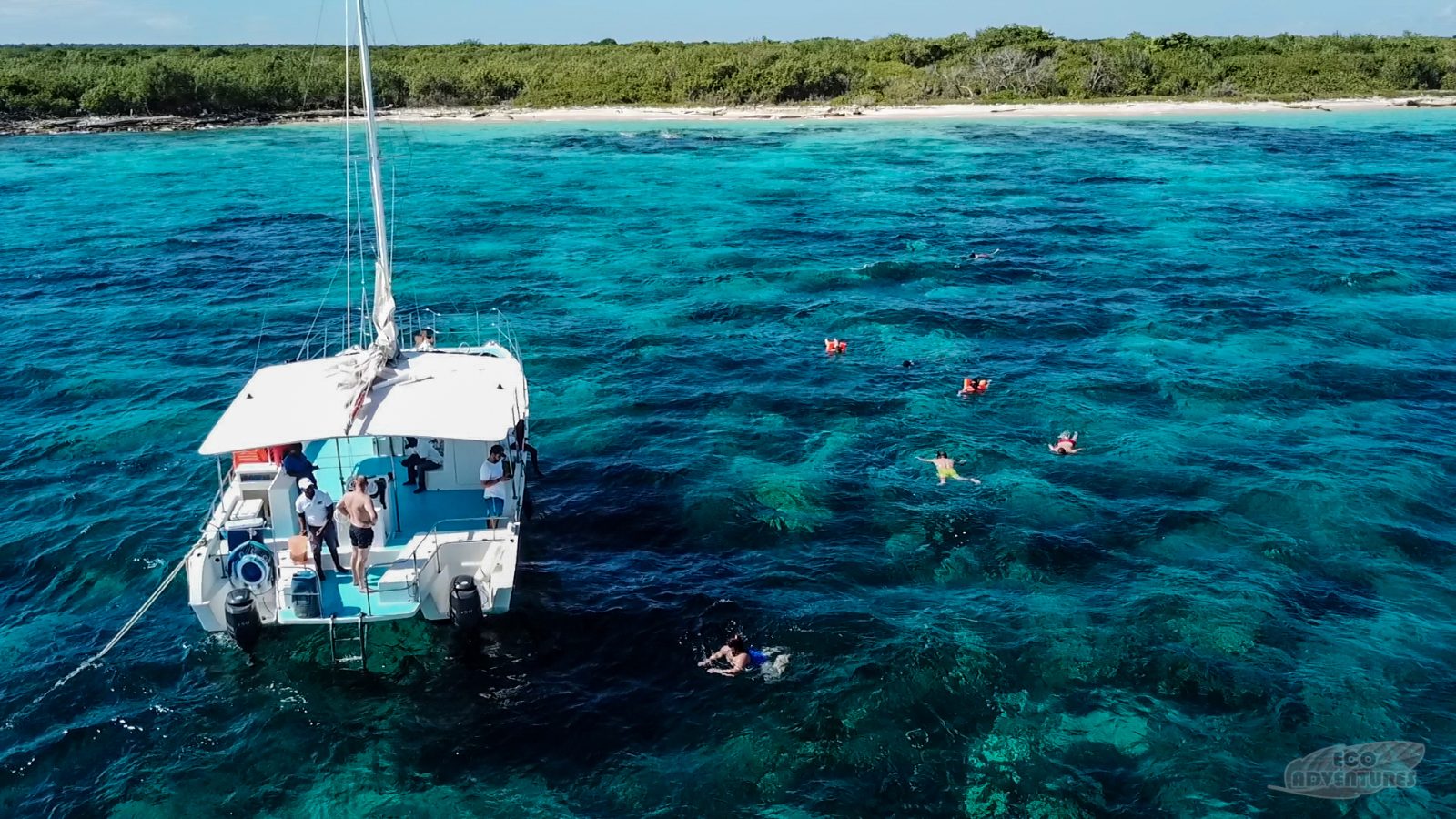 Catalina Island Snorkeling for Kids