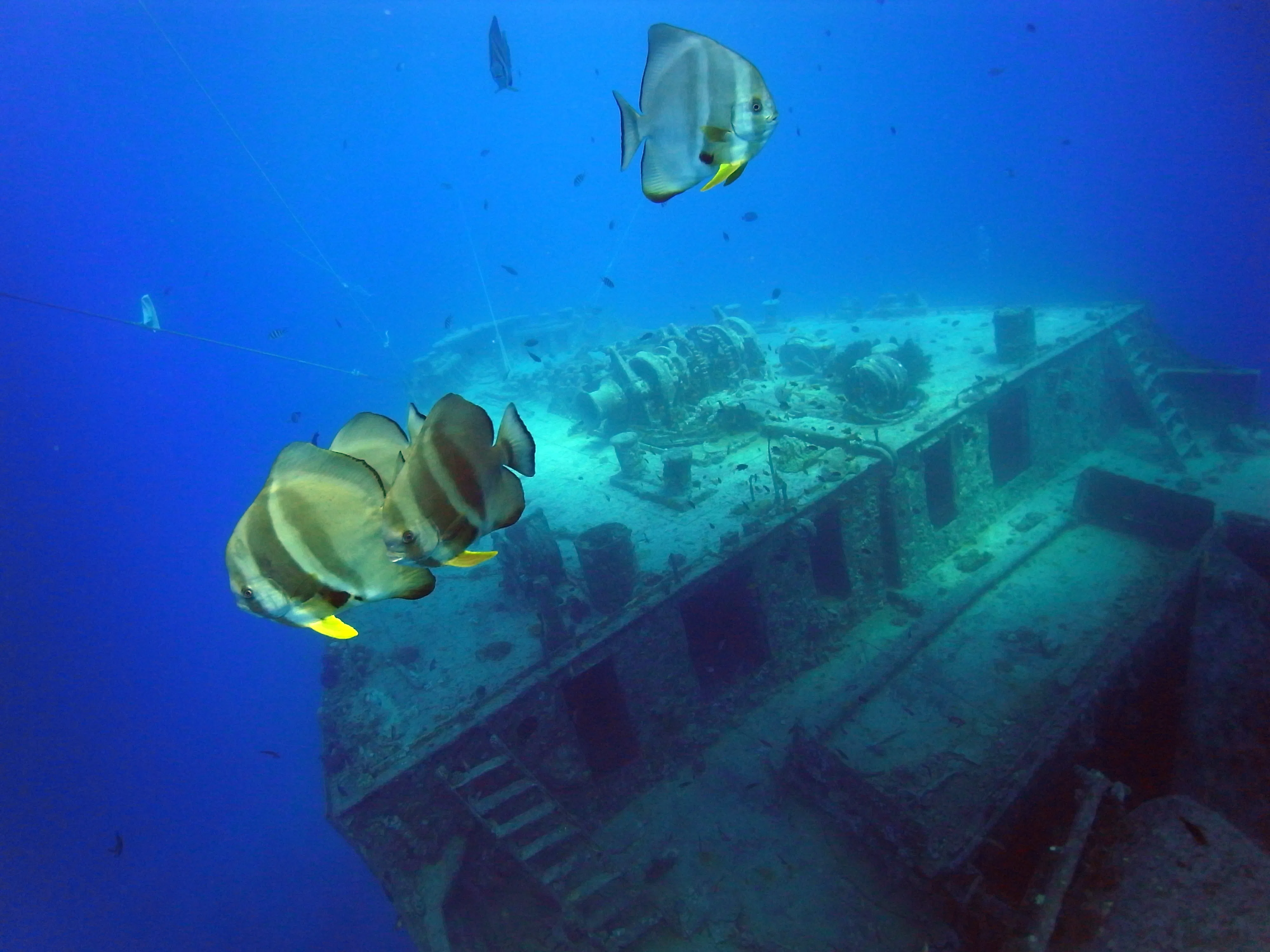 SS Thistlegorm and wreck sites