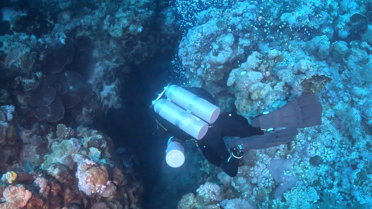 Thomas Reef