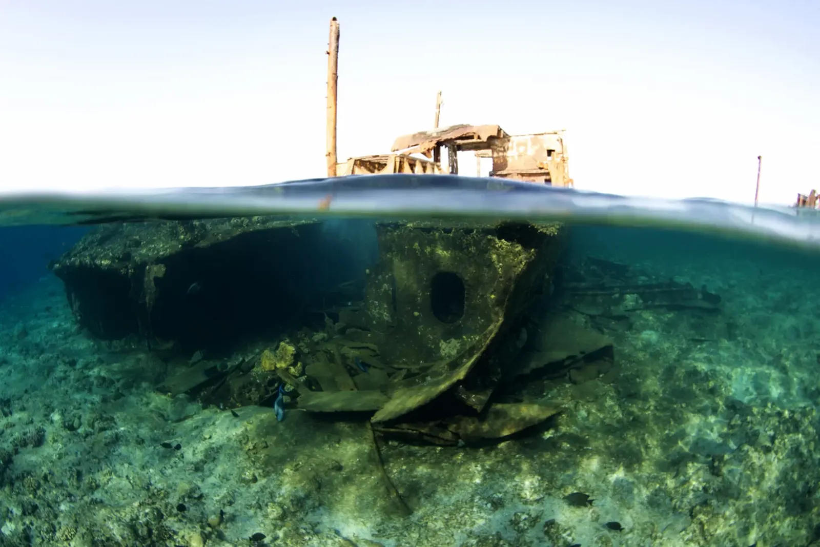 Jackson Reef