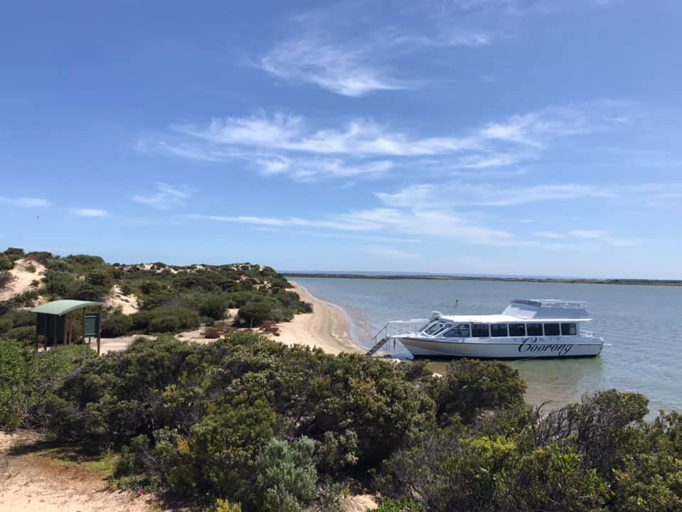 Coorong Cruise Reviews