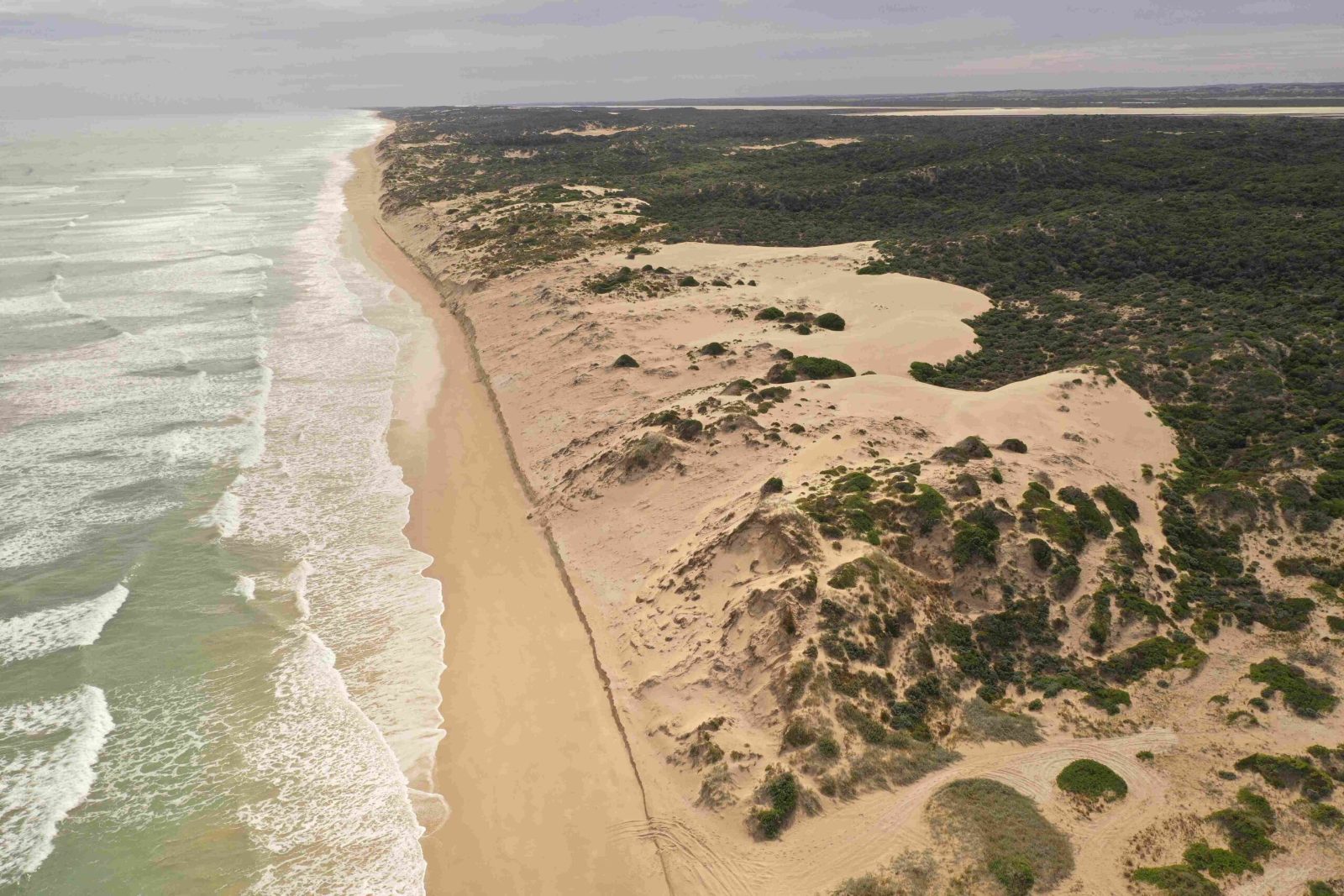 Younghusband Peninsula