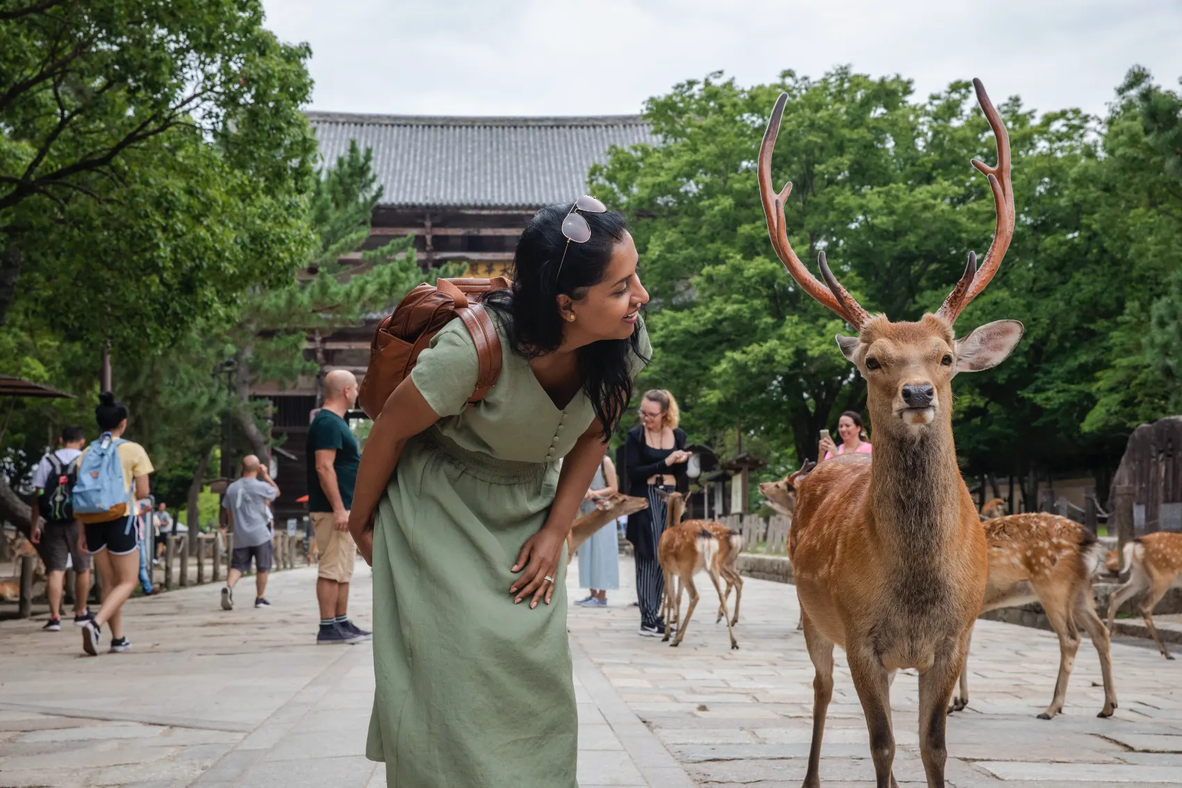 Distance Between Kyoto and Nara
