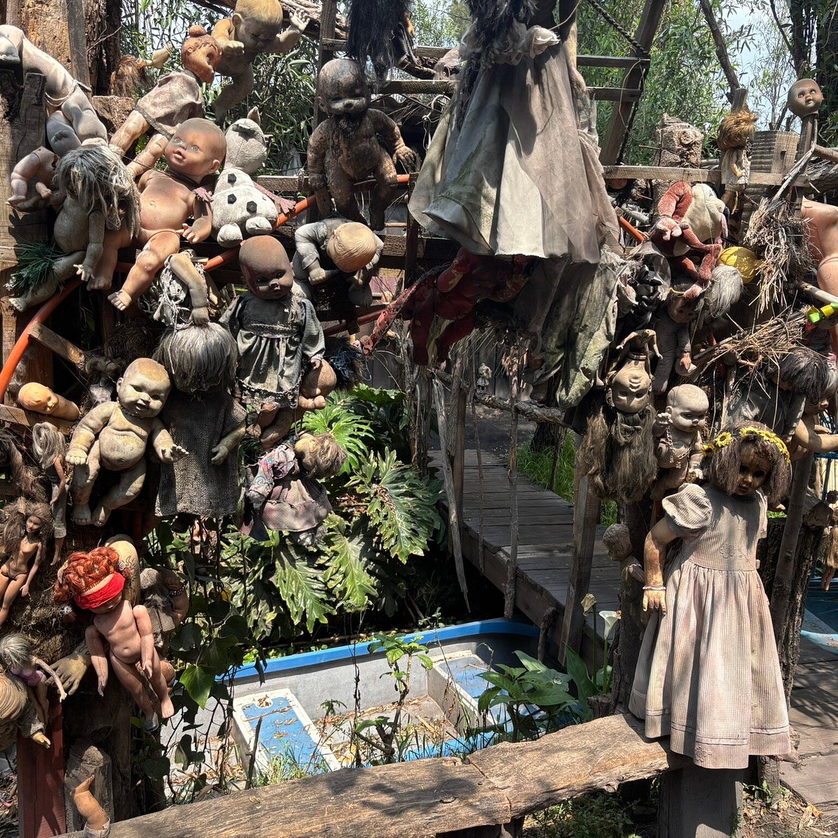 Island of the Dolls True Story