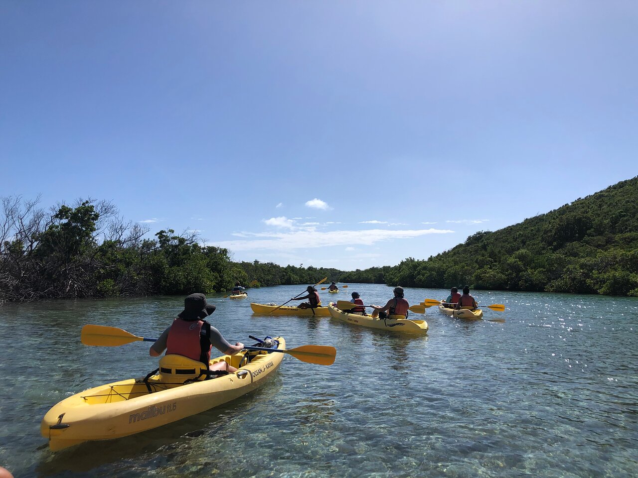 St Thomas Mangrove Tour