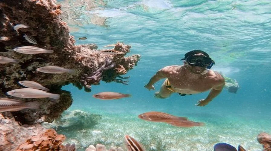 Punta Giglio