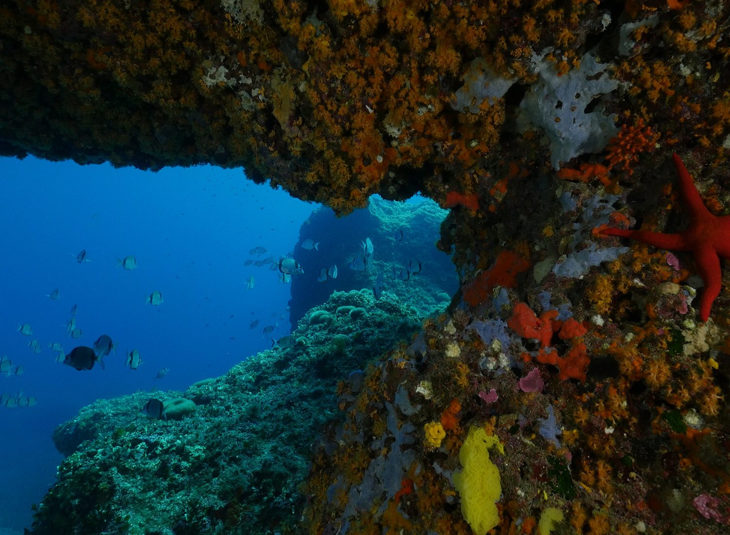 Isola Piana