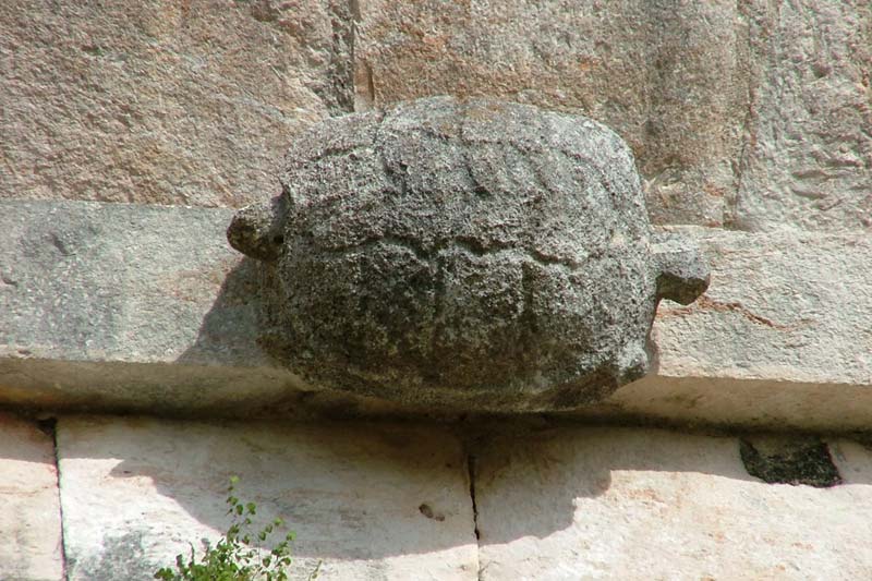 House of the Turtles