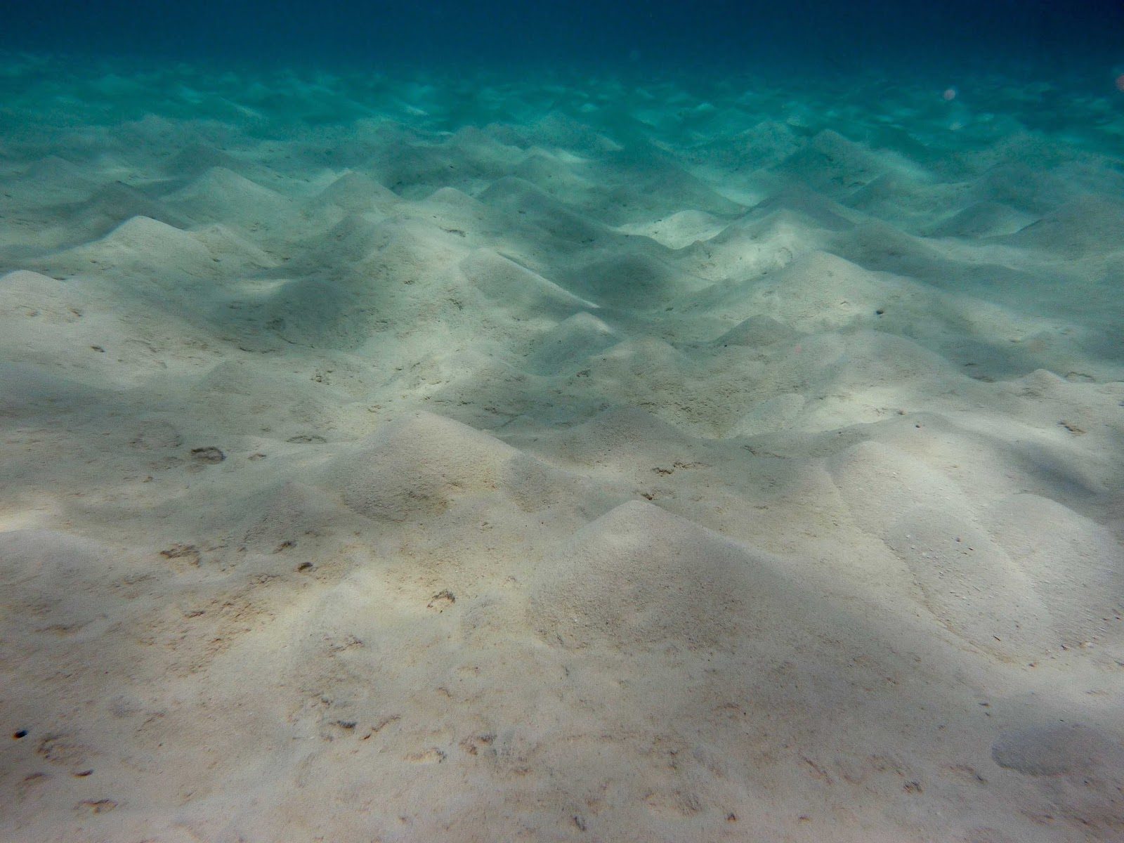 Sandy Bottom Corridors